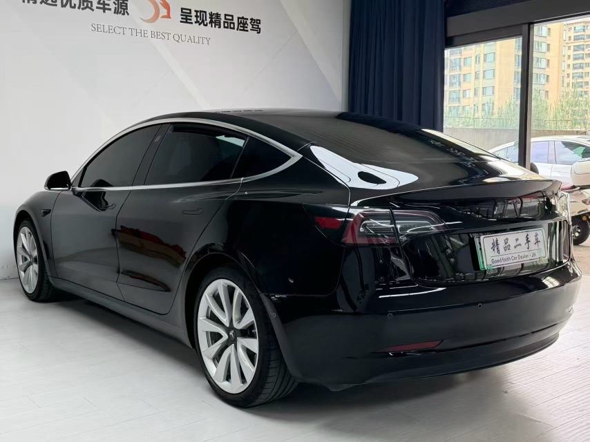 Tesla Model 3 2020 car image #9