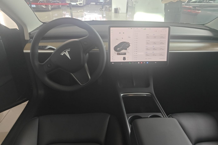 Tesla Model 3 2022 immagine di auto #10