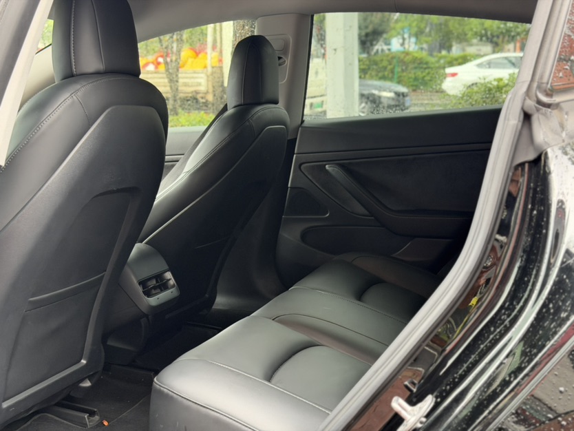 Tesla Model 3 2020 #4 Tesla Model 3 2020 car image #4