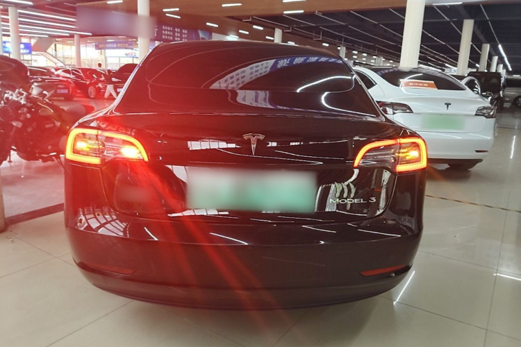 Tesla Model 3 2021 car image #6