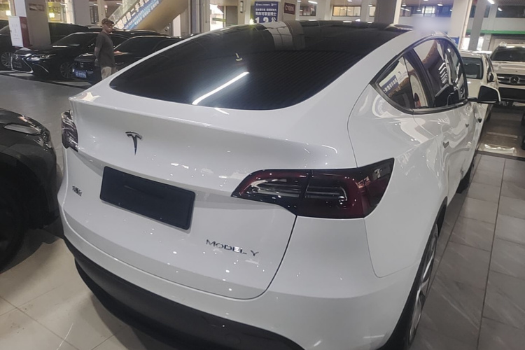 Tesla Model Y 2023 #5 Tesla Model Y 2023 car image #5