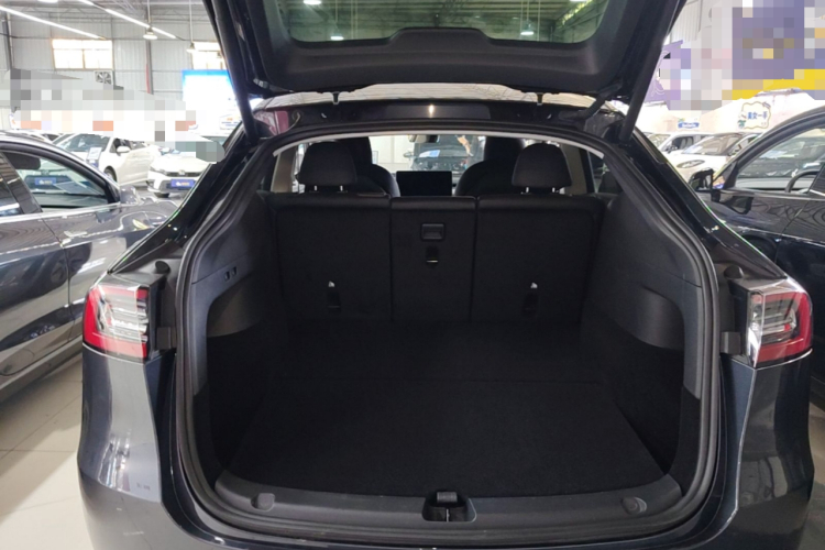 Tesla Model Y 2024 #19 Tesla Model Y 2024 car image #19