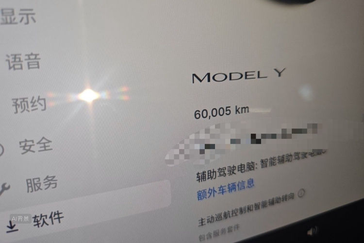 Tesla Model Y 2022 car image #14