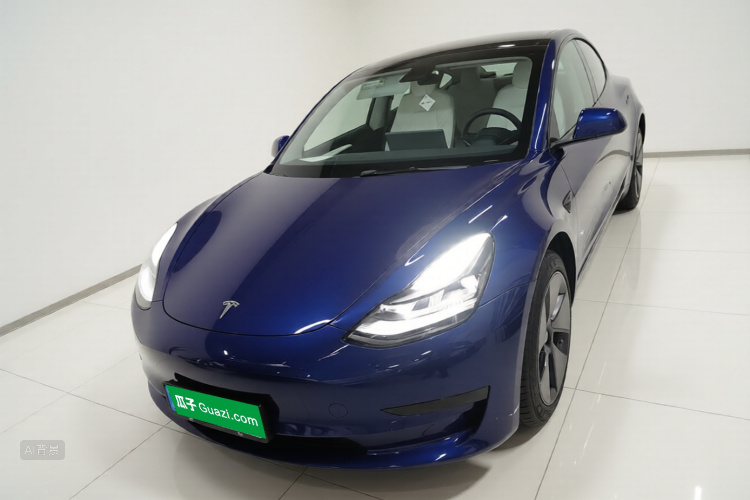 Tesla Model 3 2021 #3 Tesla Model 3 2021 car image #3