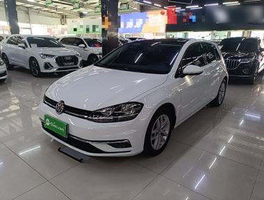 Volkswagen Golf 2019 Volkswagen Golf 2019 car image