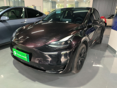 Tesla Model Y 2024 immagine di auto 