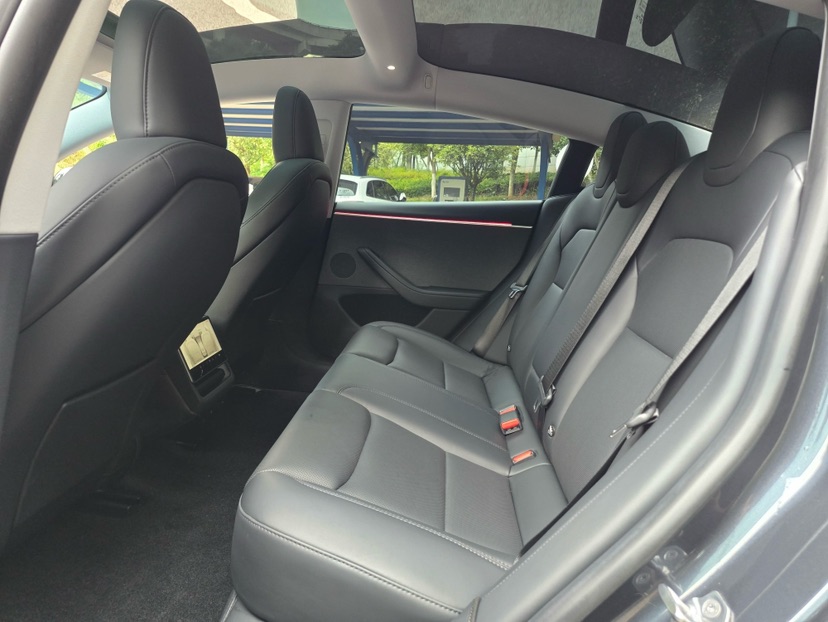 Tesla Model 3 2024 car image #5