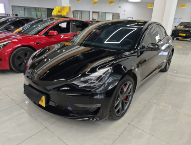 Tesla Model 3 2022 car image 