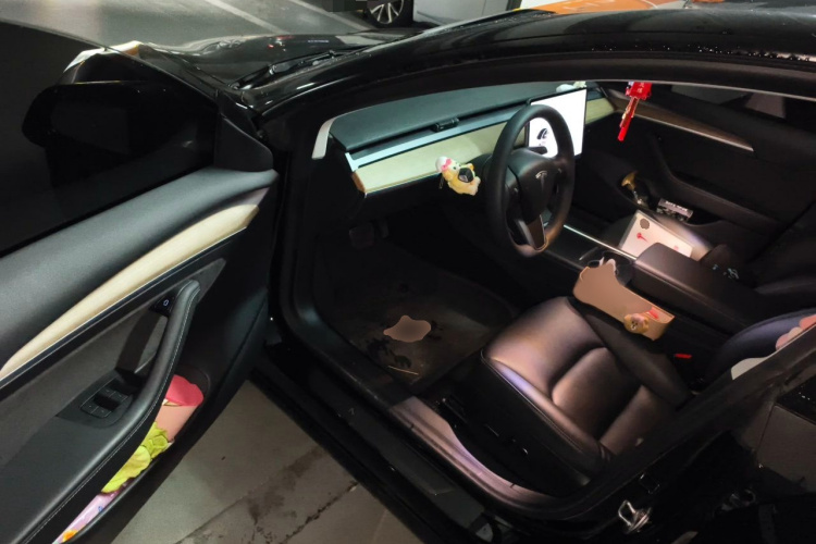 Tesla Model 3 2021 #13 Tesla Model 3 2021 car image #13