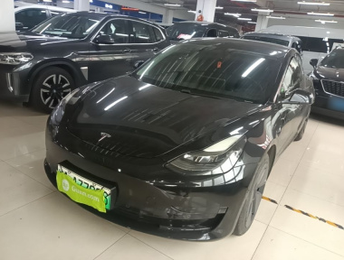 Tesla Model 3 2021 Tesla Model 3 2021 immagine di auto