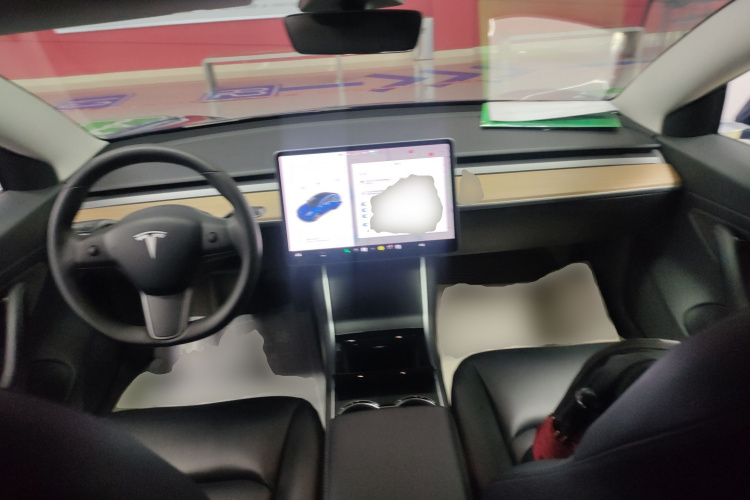 Tesla Model 3 2020 immagine di auto #10