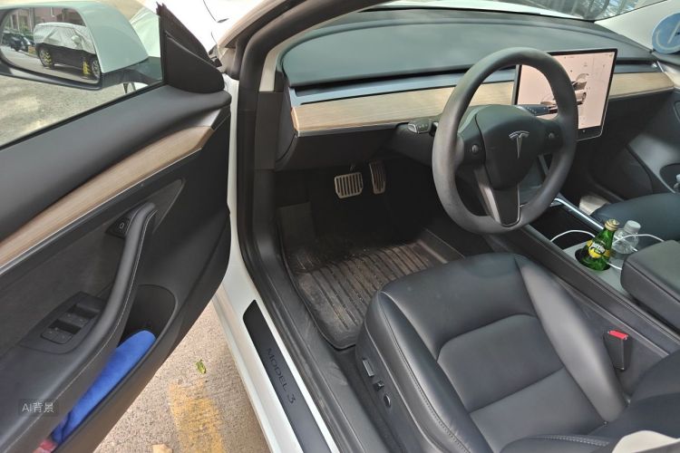 Tesla Model 3 2022 car image #18