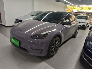 Tesla Model Y 2022 Tesla Model Y 2022 car image