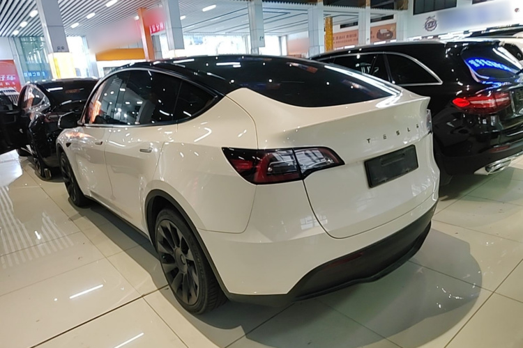 Tesla Model Y 2021 #5 Tesla Model Y 2021 car image #5