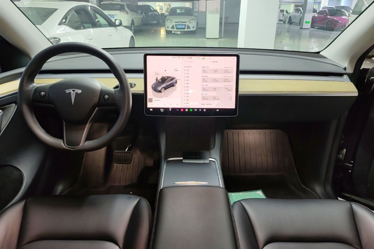 Tesla Model Y 2022 #10 Tesla Model Y 2022 car image #10