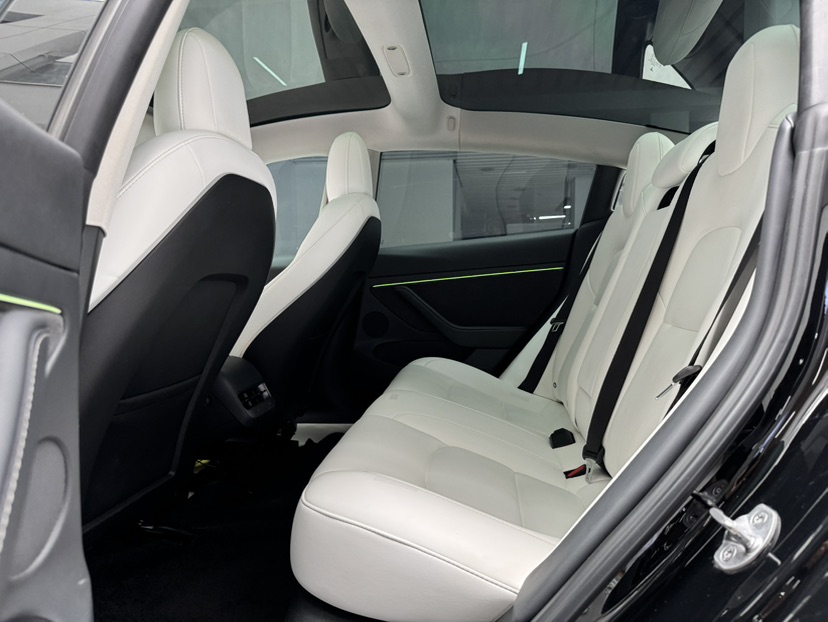 Tesla Model 3 2022 car image #12