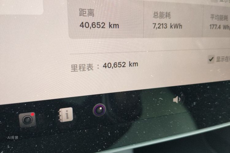 Tesla Model 3 2022 immagine di auto #14