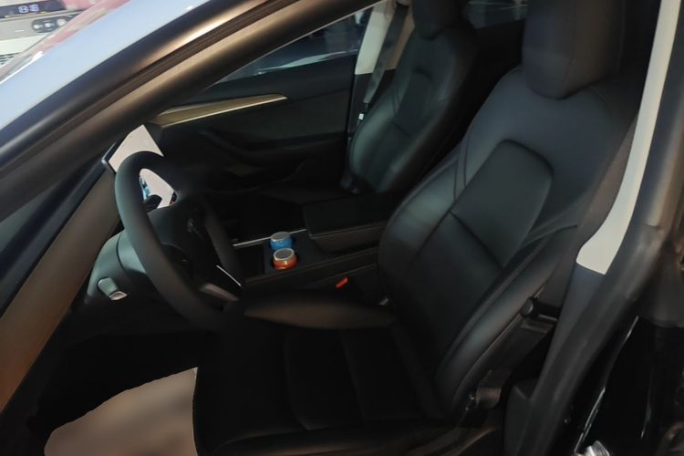 Tesla Model 3 2022 car image #15