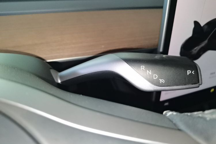 Tesla Model 3 2021 car image #14