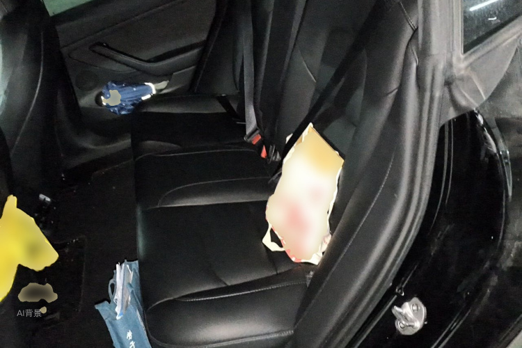 Tesla Model 3 2022 car image #19