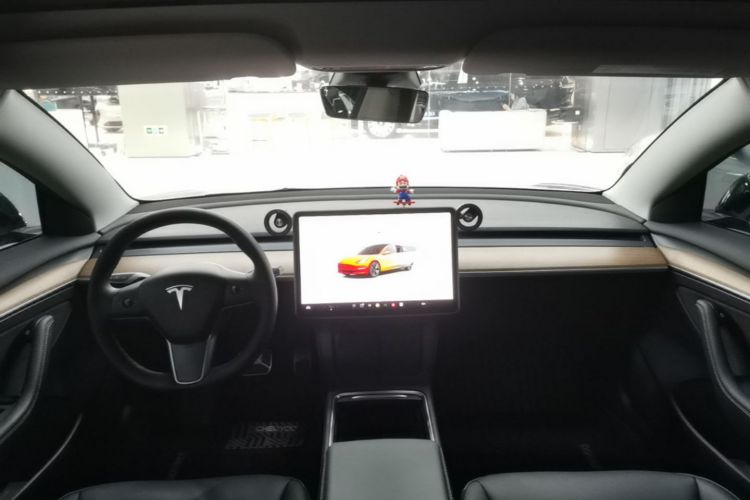 Tesla Model 3 2022 #10 Tesla Model 3 2022 car image #10