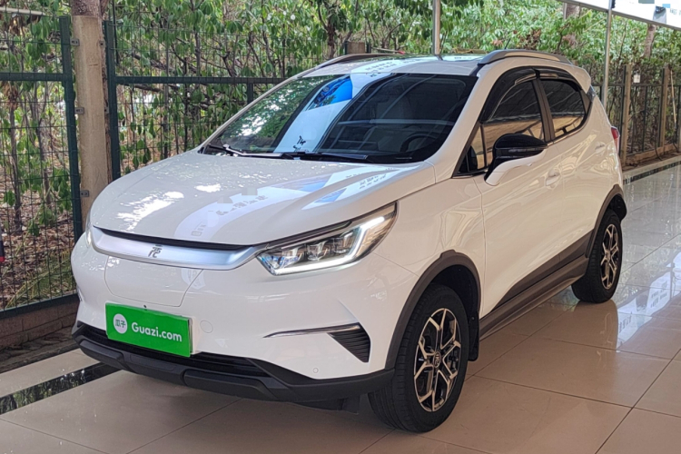 BYD Yuan Pro 2021 car image #2