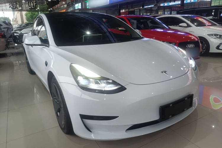 Tesla Model 3 2021 #4 Tesla Model 3 2021 car image #4