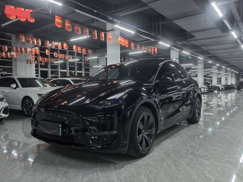 Tesla Model Y 2021 Tesla Model Y 2021 car image