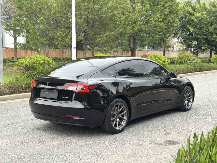 Tesla Model 3 2021 #9 Tesla Model 3 2021 car image #9