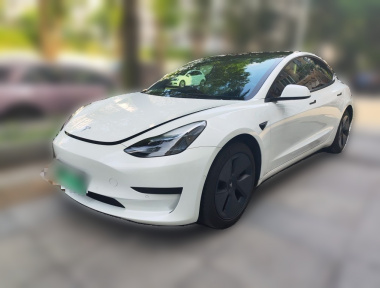 Tesla Model 3 2021 Tesla Model 3 2021 immagine di auto