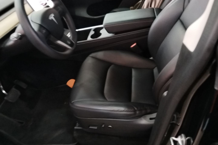 Tesla Model Y 2023 #15 Tesla Model Y 2023 car image #15
