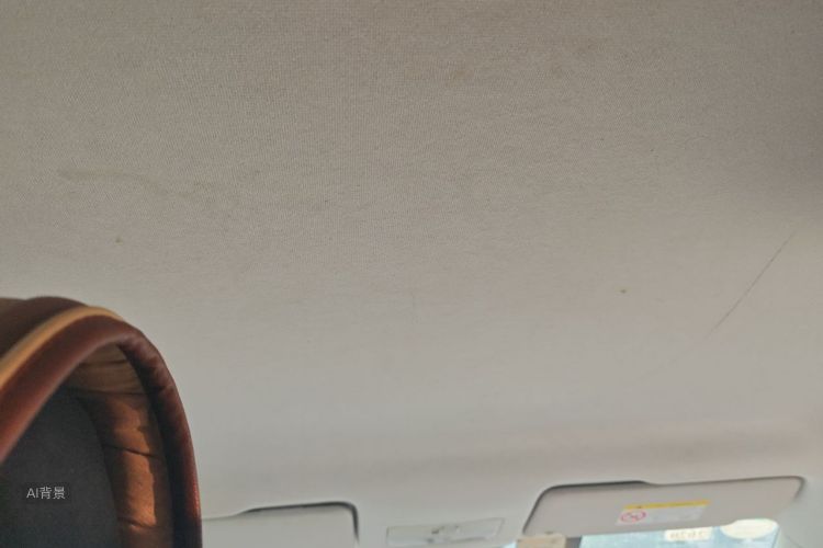 Volkswagen Santana 2018 car image #20