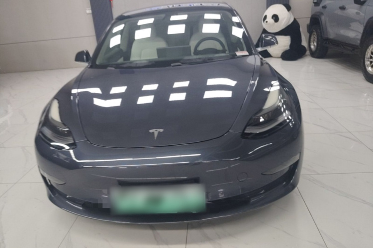 Tesla Model 3 2020 #3 Tesla Model 3 2020 car image #3