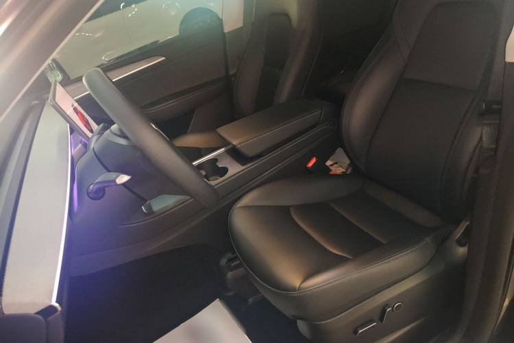 Tesla Model Y 2025 car image #20
