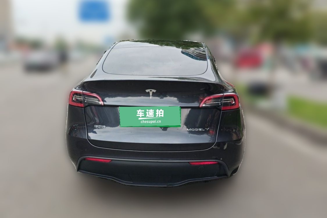 Tesla Model Y 2024 car image #6