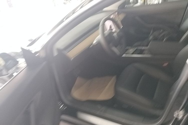Tesla Model 3 2020 immagine di auto #16