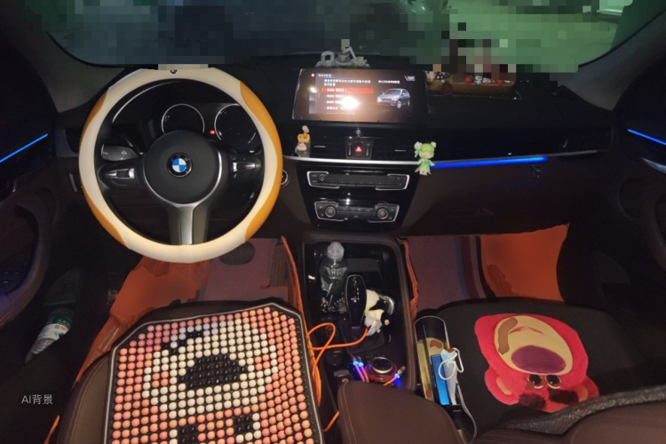 BMW X1 2020 car image #11