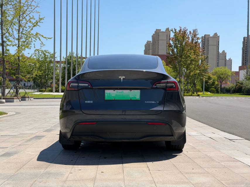 Tesla Model Y 2022 #6 Tesla Model Y 2022 car image #6