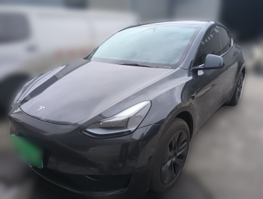 Tesla Model Y 2024 car image 