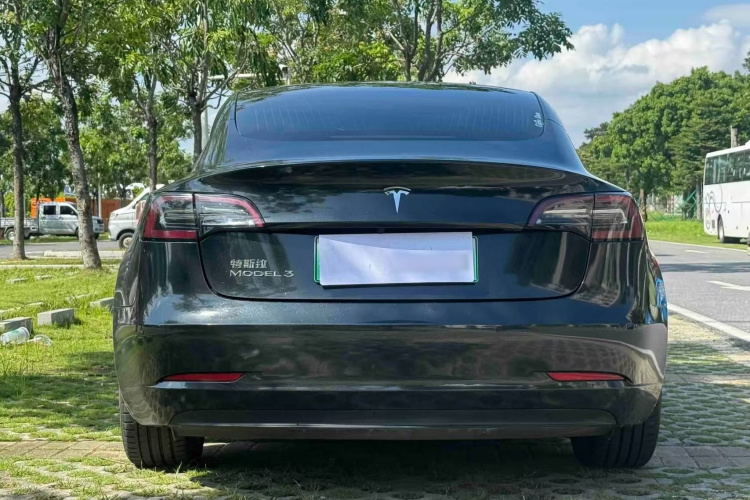 Tesla Model 3 2020 #4 Tesla Model 3 2020 car image #4