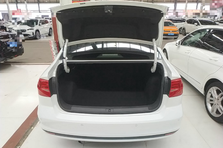 Volkswagen Bora 2019 car image #21