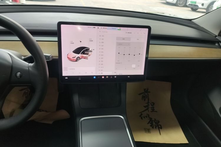 Tesla Model 3 2021 car image #17
