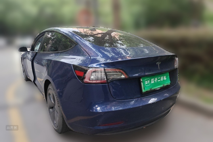 Tesla Model 3 2020 car image #5