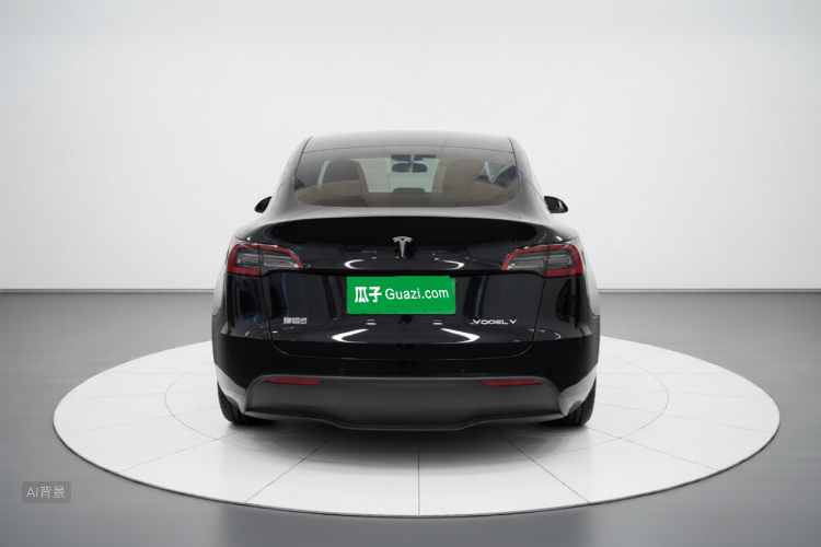 Tesla Model Y 2023 car image #6