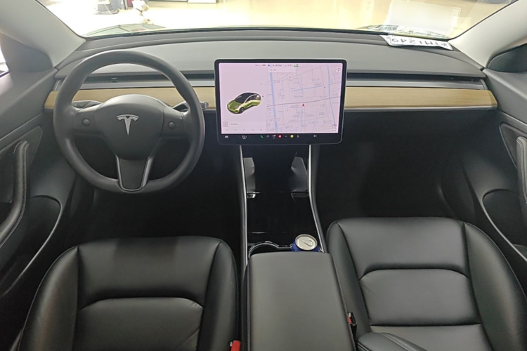 Tesla Model 3 2020 car image #10