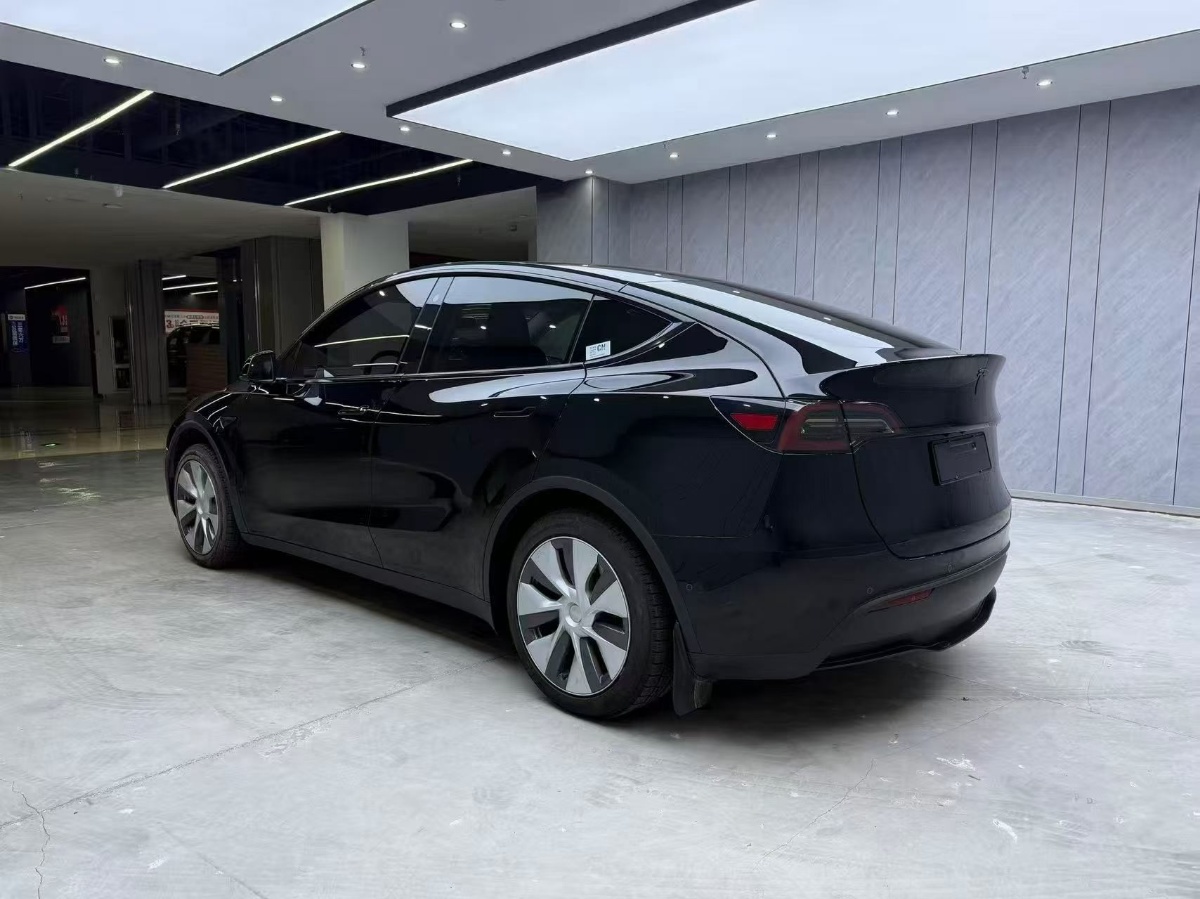 Tesla Model Y 2023 #9 Tesla Model Y 2023 car image #9