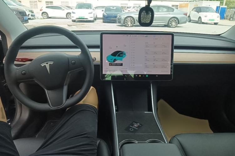 Tesla Model 3 2020 immagine di auto #10