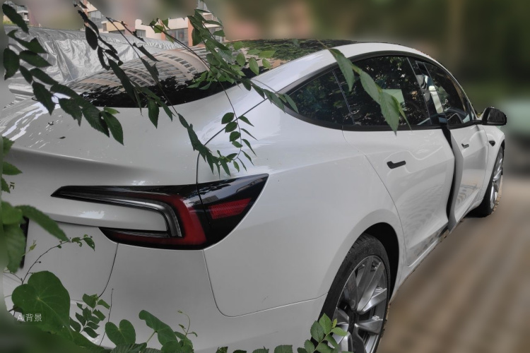 Tesla Model 3 2024 car image #6