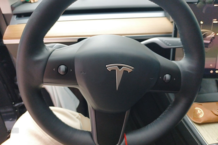 Tesla Model Y 2022 car image #12
