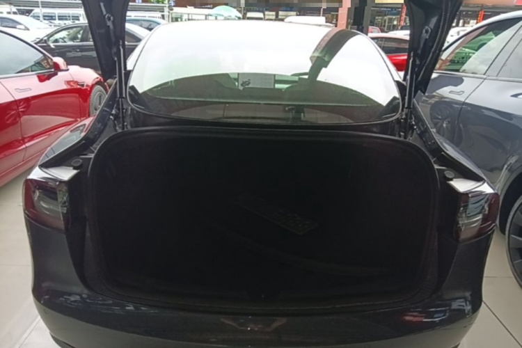 Tesla Model 3 2020 car image #19